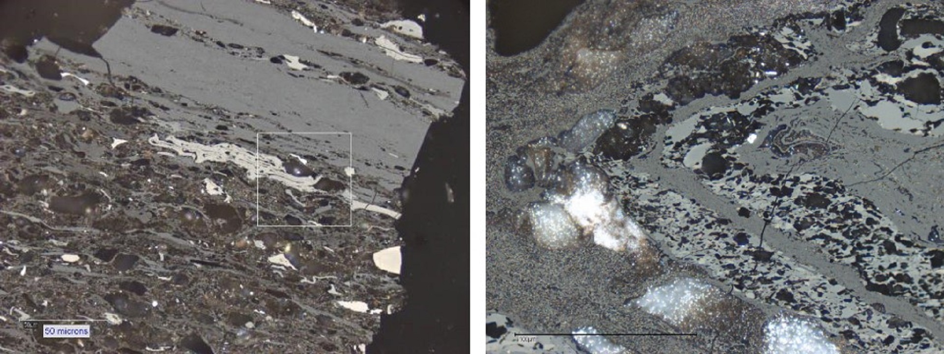 Organic Petrology - University Of Johannesburg