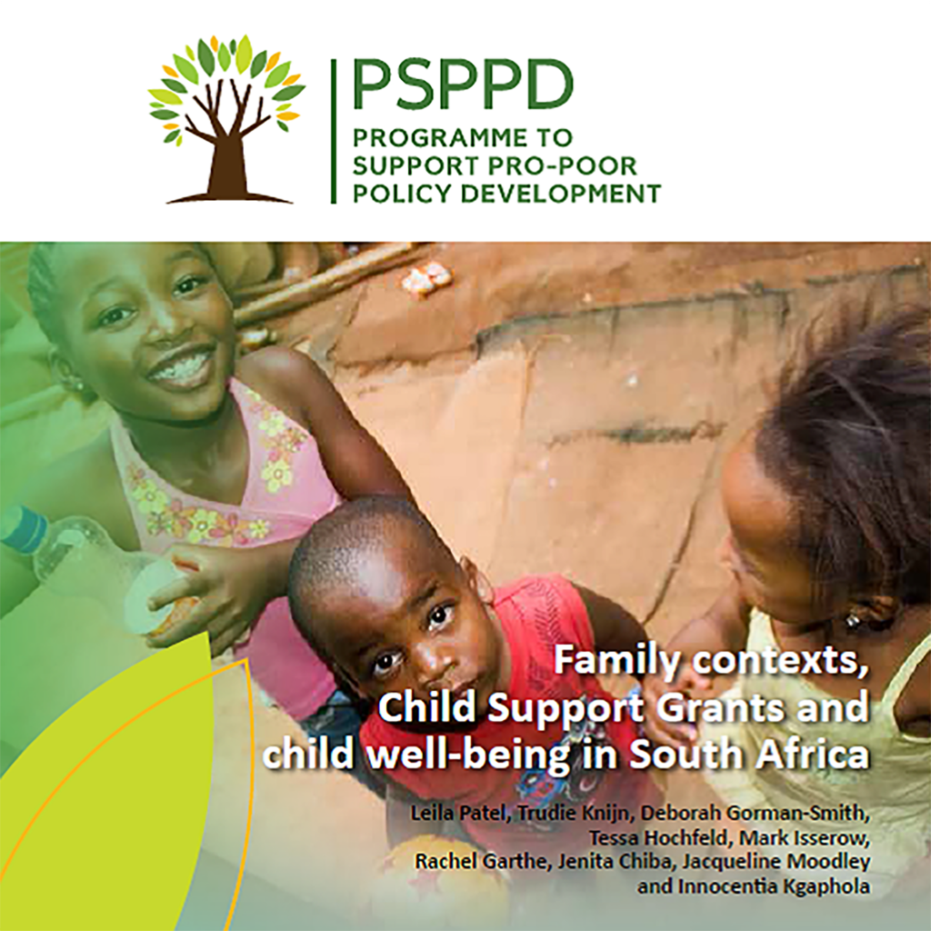 Family Contexts, Child Support Grants and child well-being in South ...